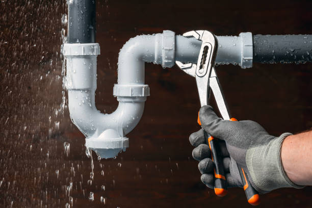 Professional Emergency Plumber technician working in Genoa, IL